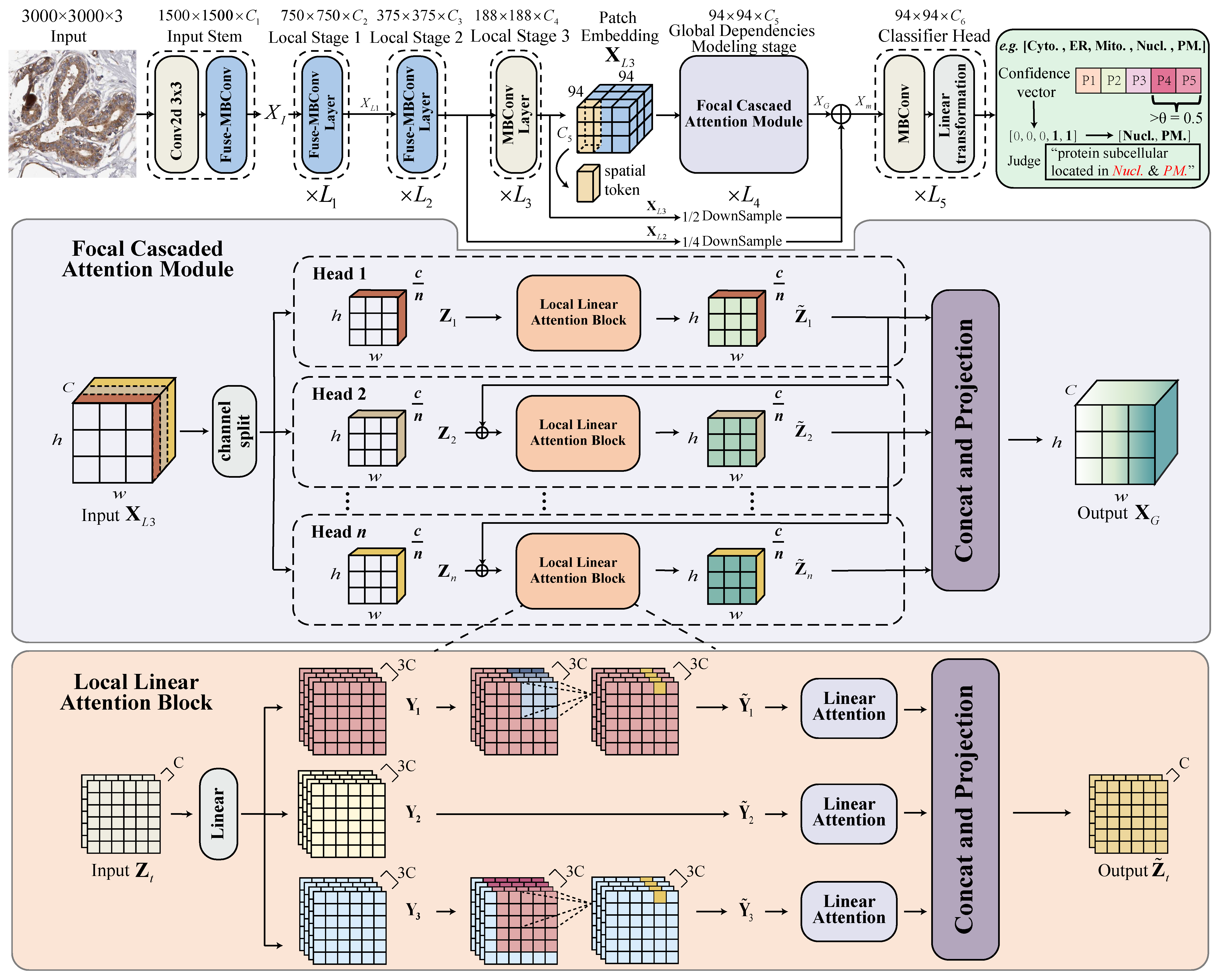 EGA-Ploc framework